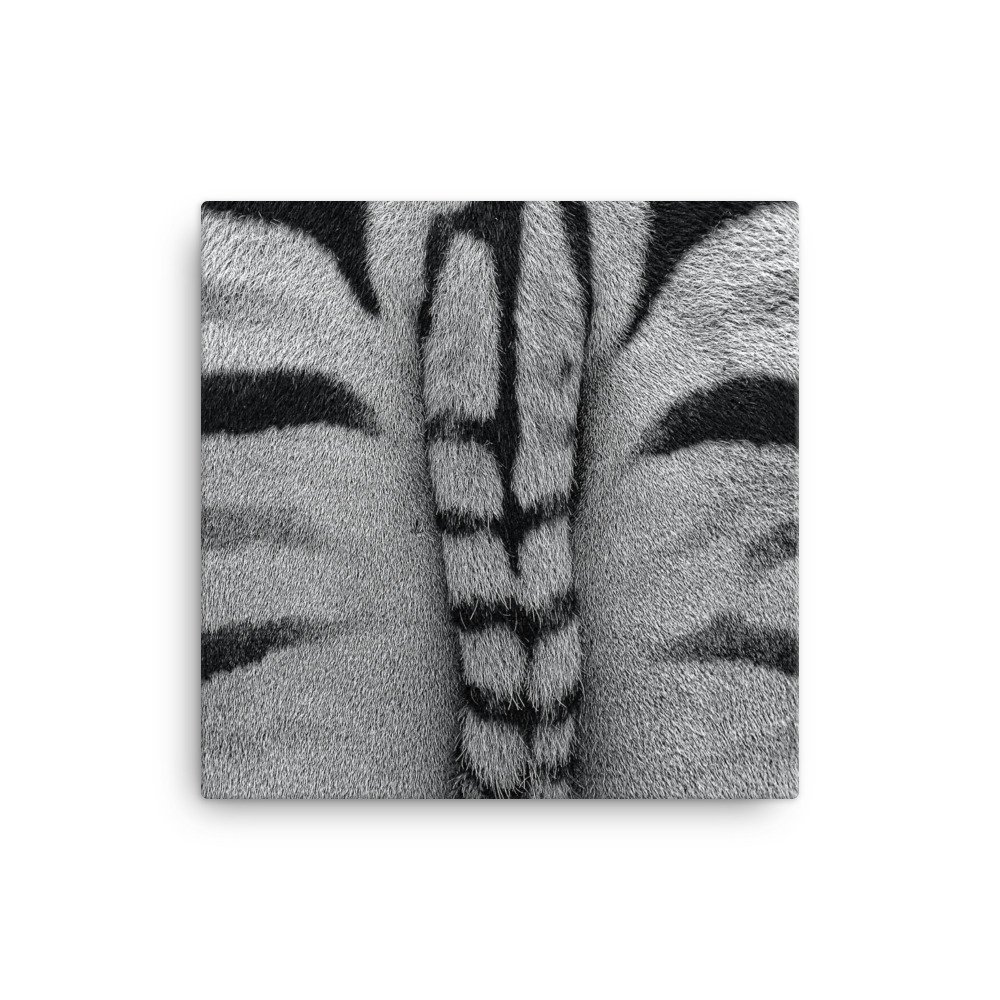 canvas-(in)-12x12-wall-65c21d3724e35.jpg