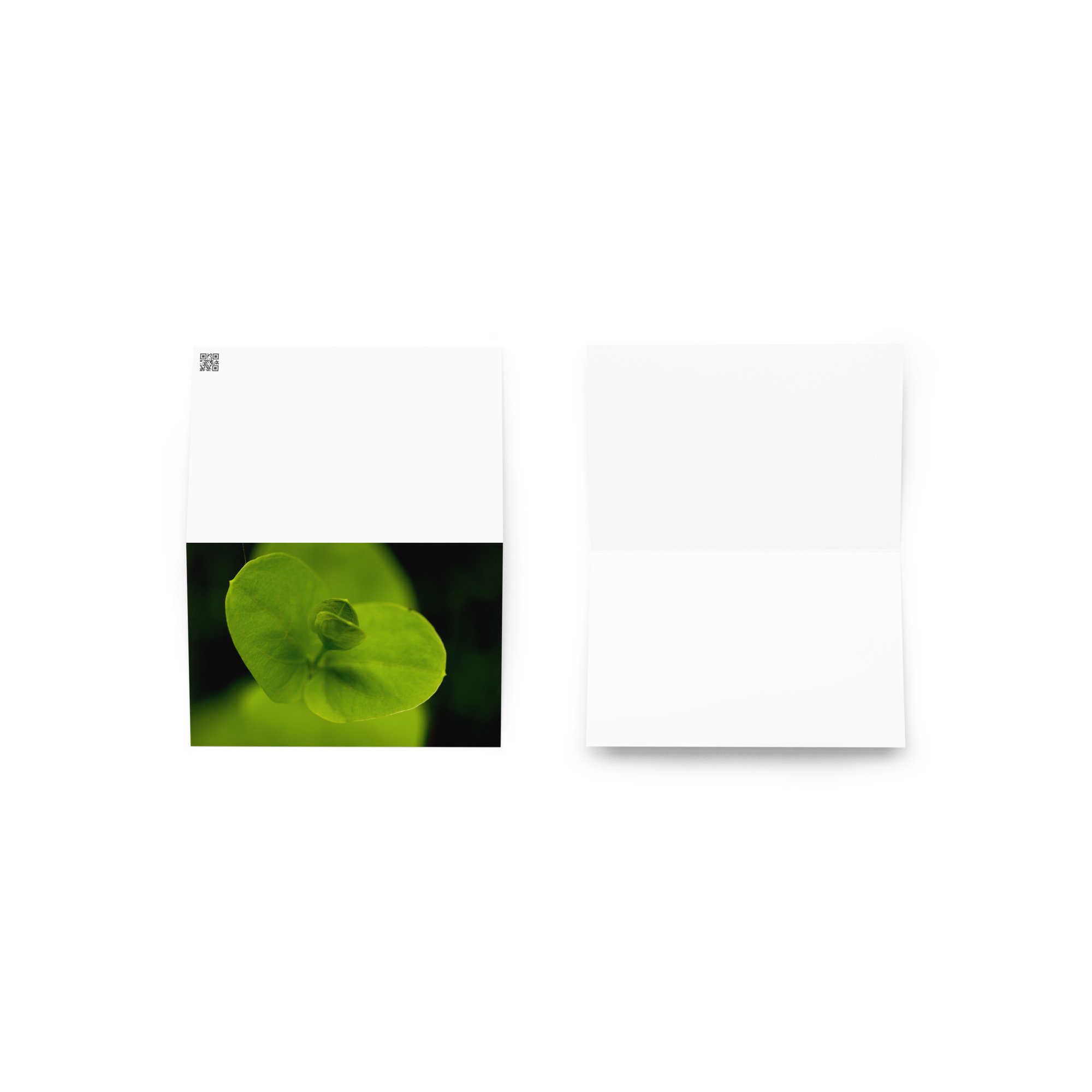 greeting-card-4x6-front-65c755150e94a.jpg