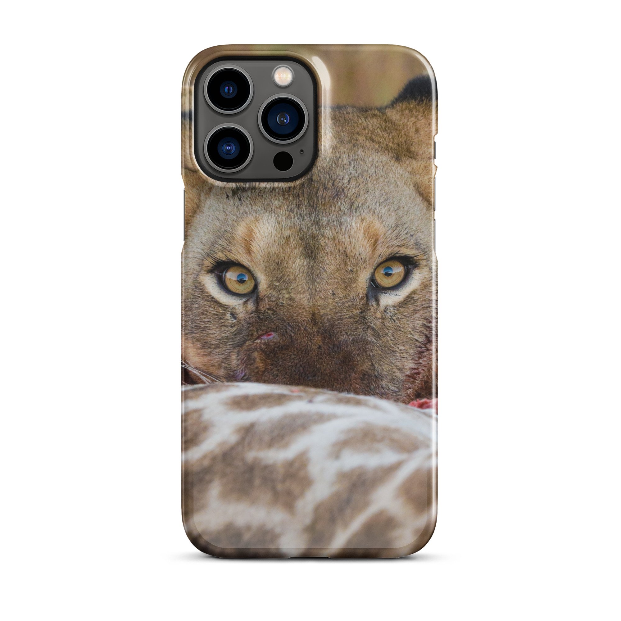 snap-case-for-iphone-glossy-iphone-13-pro-max-front-65cb70ffb29a4.jpg