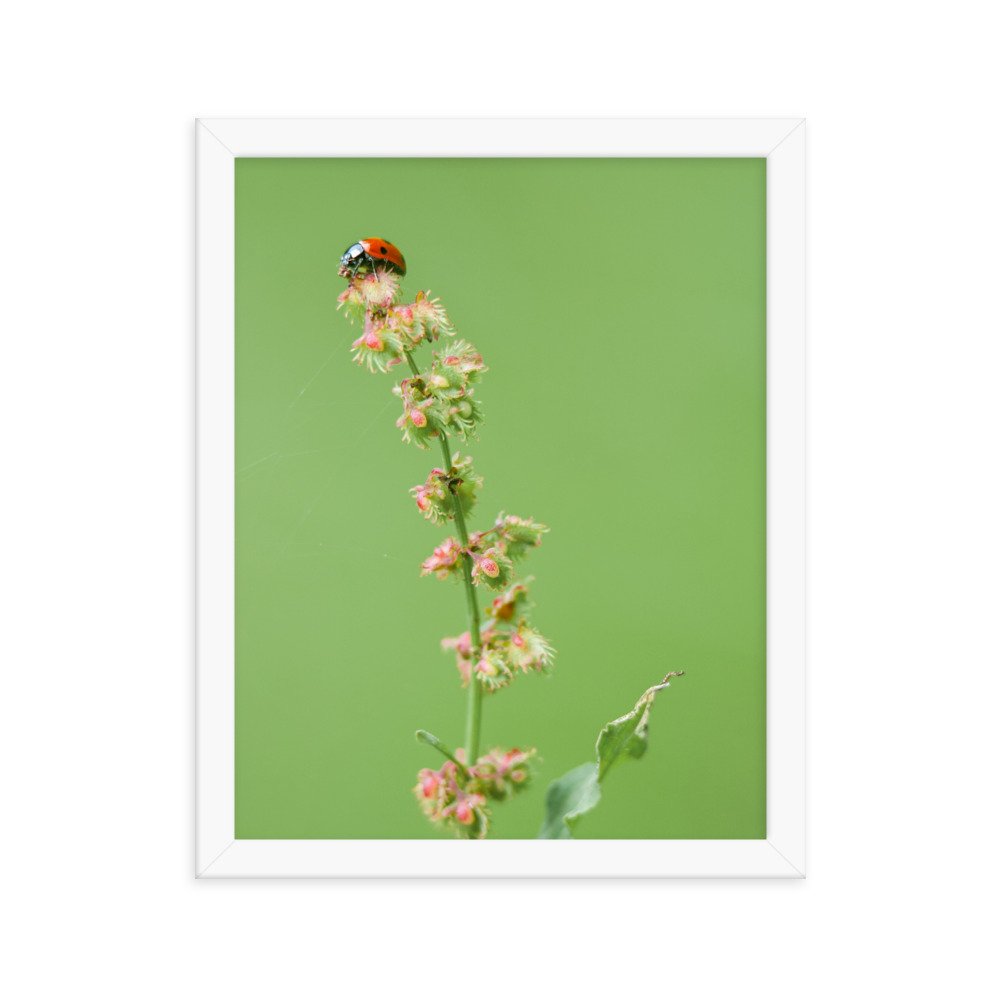 enhanced-matte-paper-framed-poster-(in)-white-11x14-transparent-65cf0e07e7e05.jpg