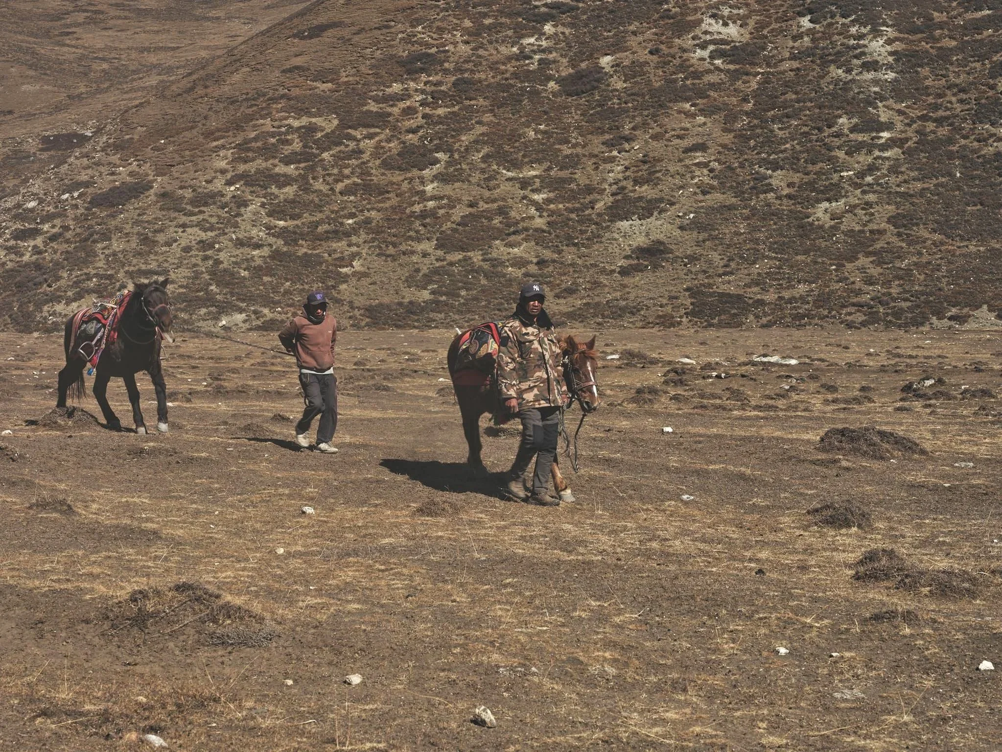_DSF0689.jpg
