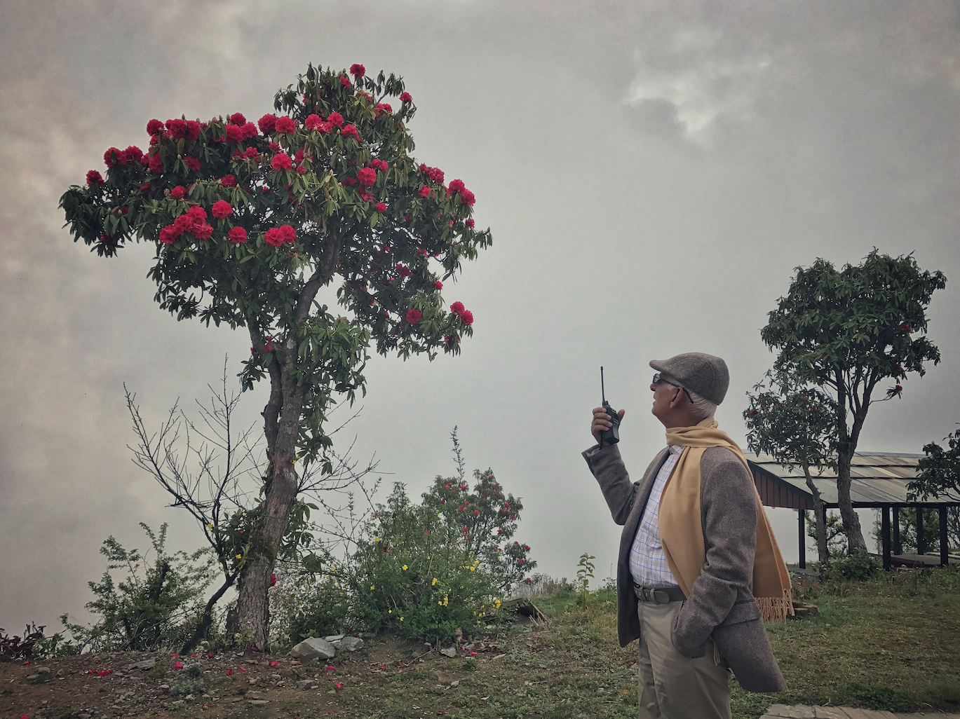 The Umbrella of My World Gehendra Dhimal