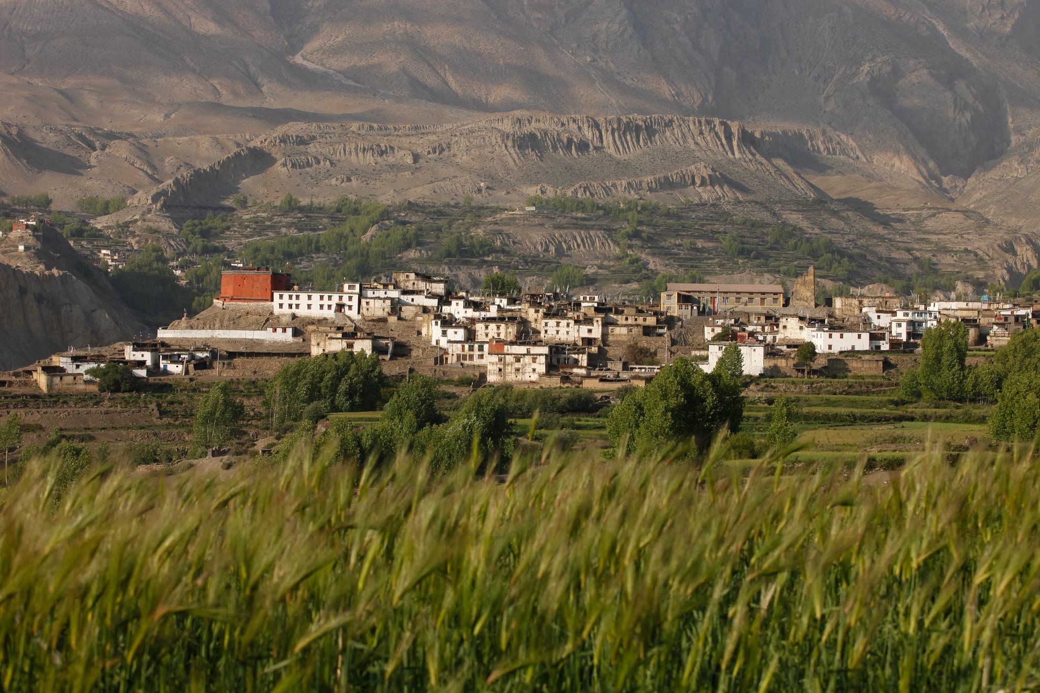 _MG_2884.jpg