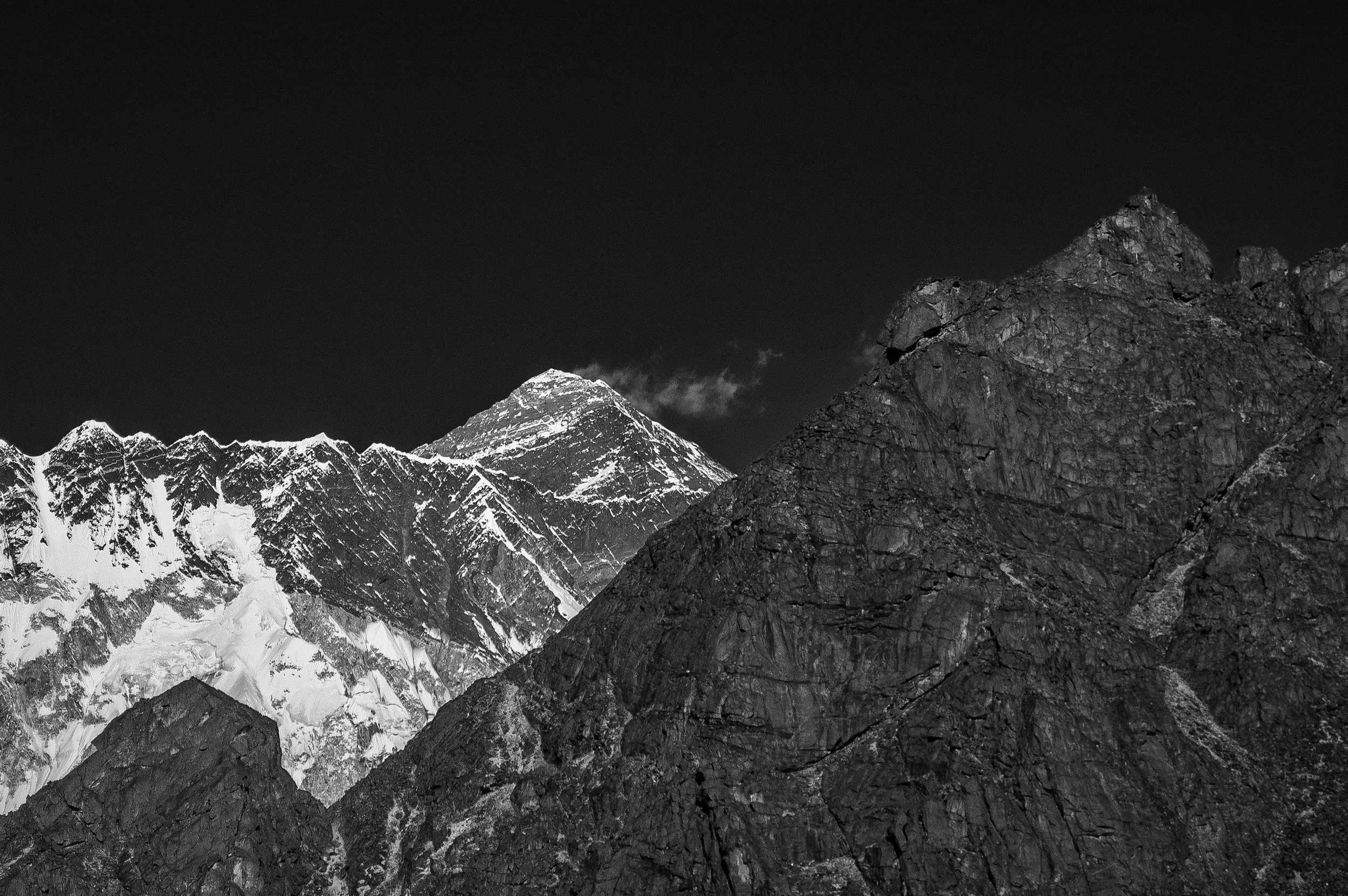 _DSC0572 copy.jpg
