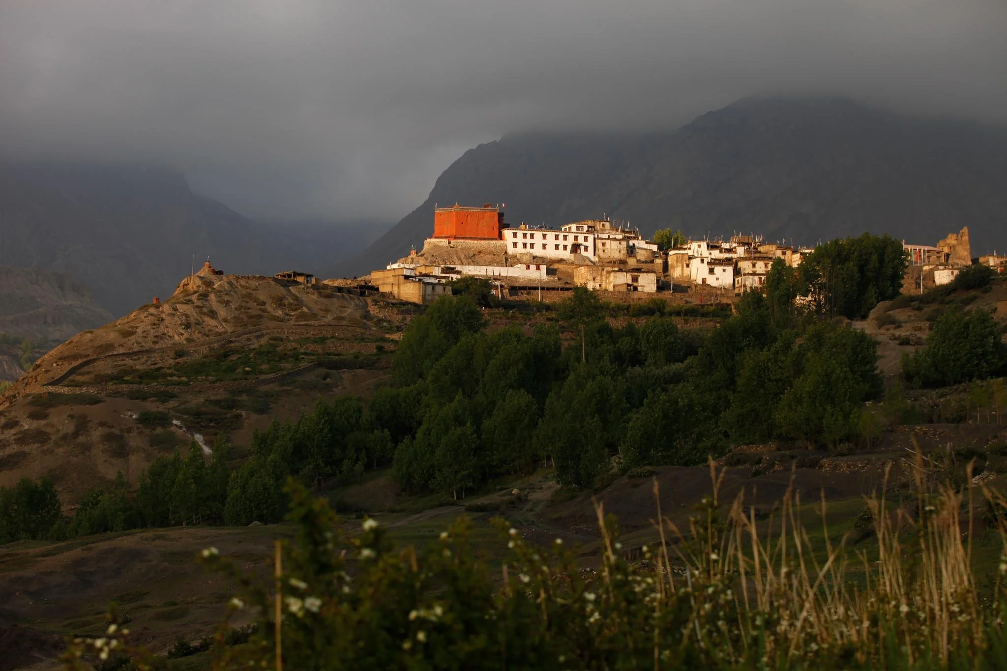 _MG_2925.jpg
