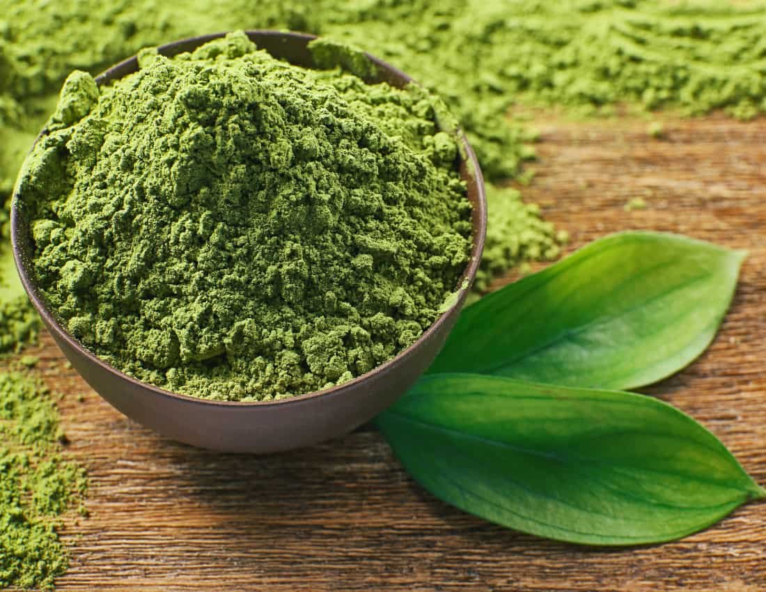 Matcha Green Tea Extract
