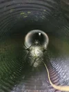 Pipe-Eye photo 2