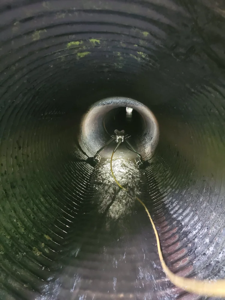 Pipe-Eye photo 5