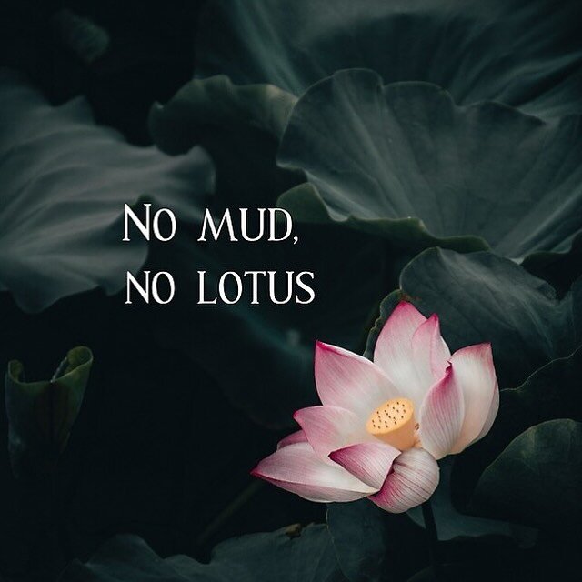 The beautiful lotus flower is born from the mud. Sometimes we want to avoid pain and conflict but is from there that we grow and become wise and strong like a beautiful lotus. 🪷 I&rsquo;m thankful for the mud 🙇&zwj;♀️ #tantra #tantrayoga #tantramas