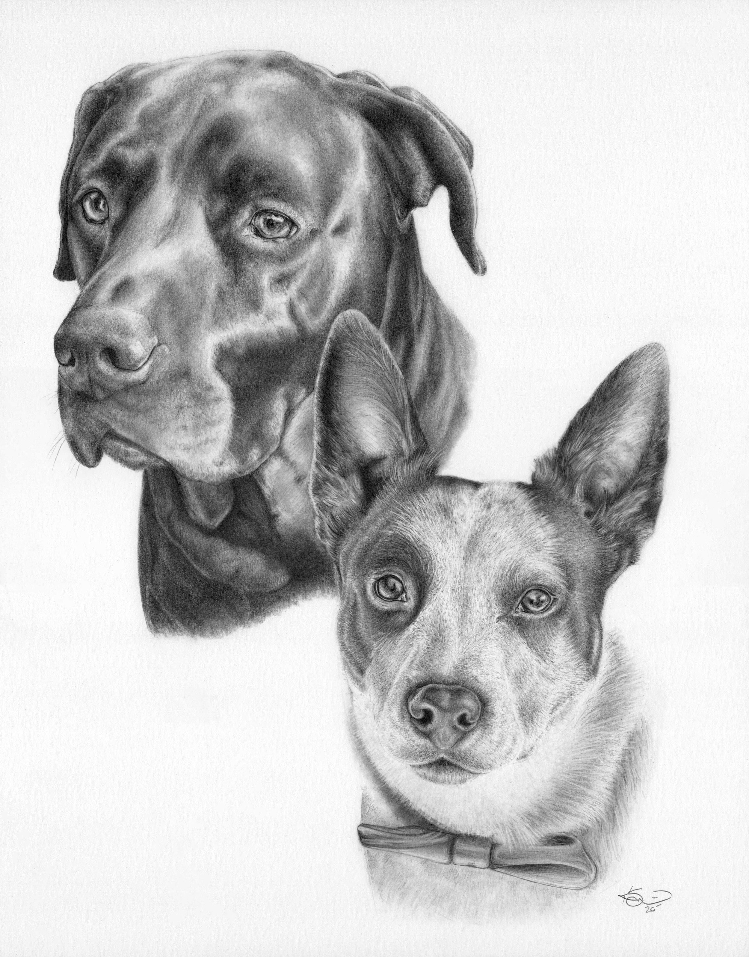 ShainnaWoottonedited.jpg