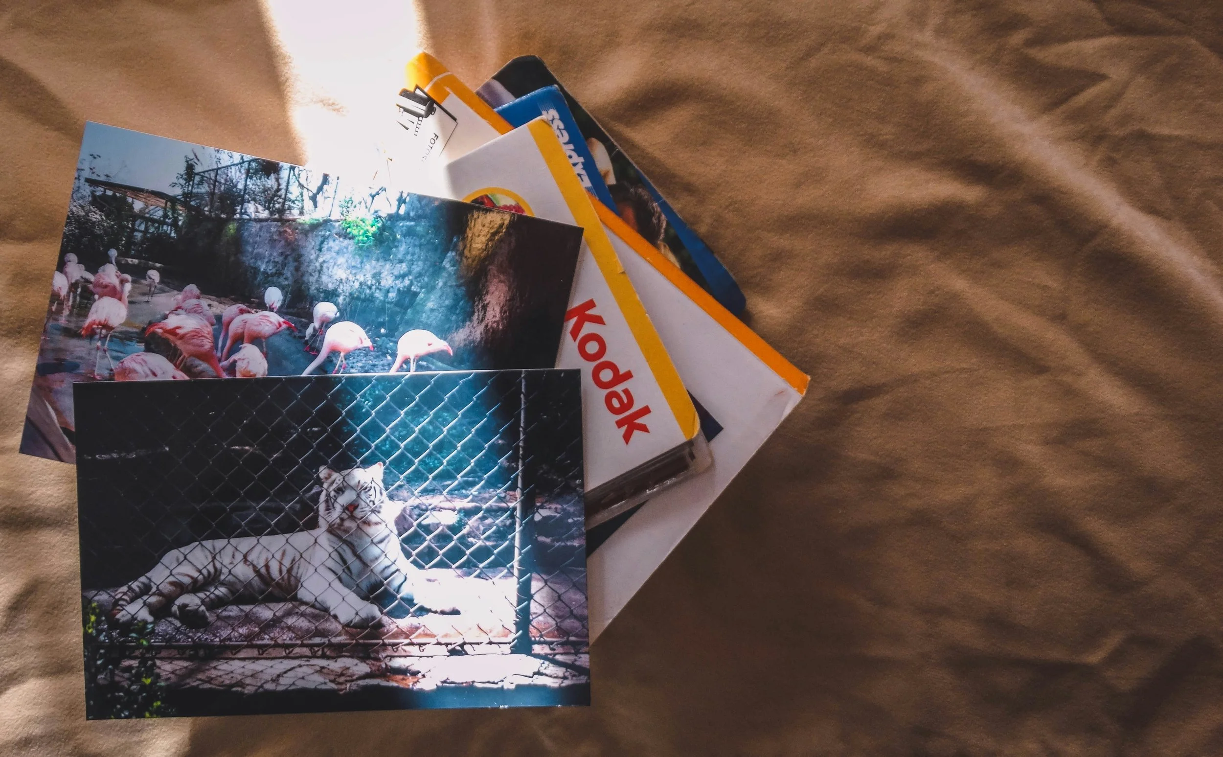 The Psychology of the Camera Roll