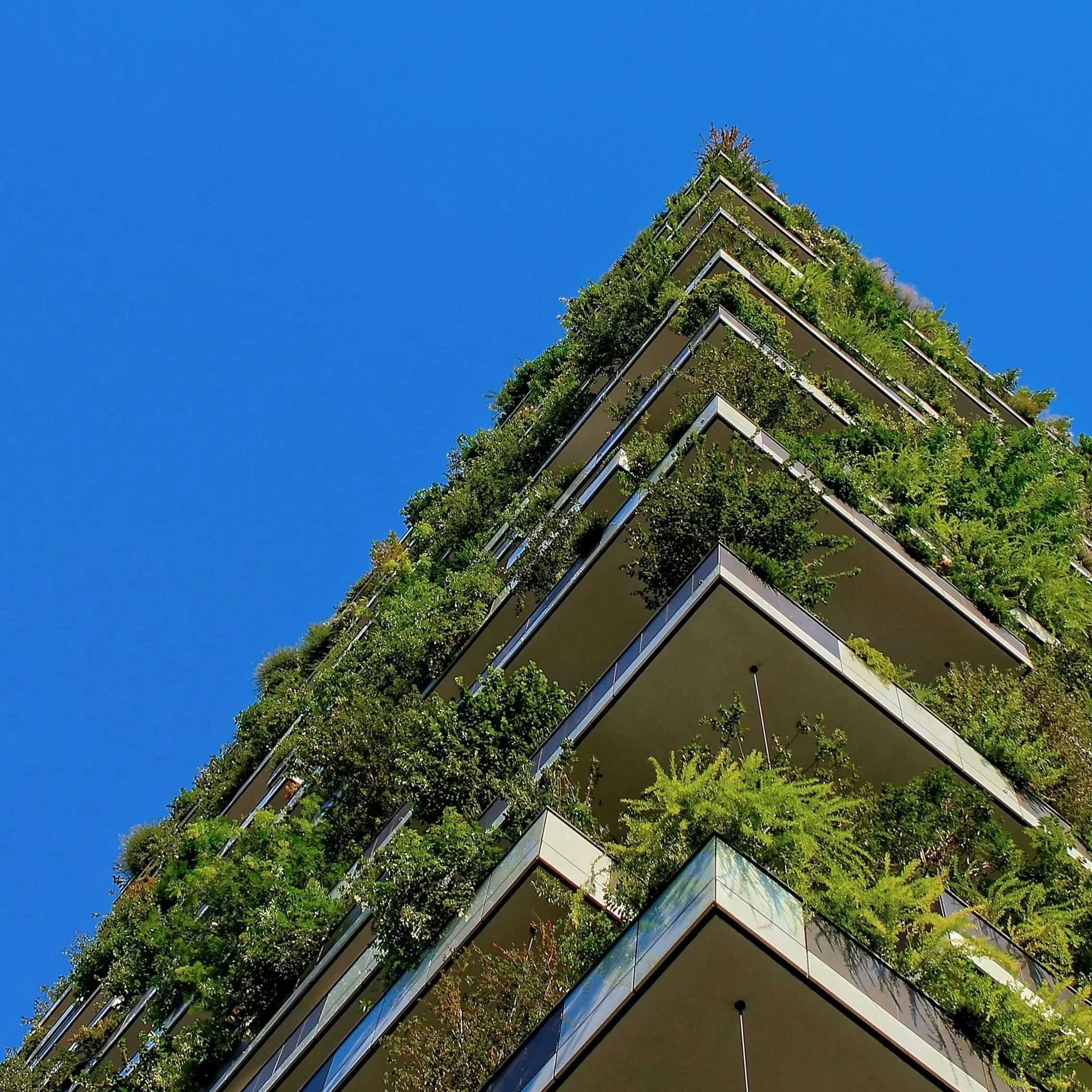 When Everything Is Sustainable, Nothing Is
