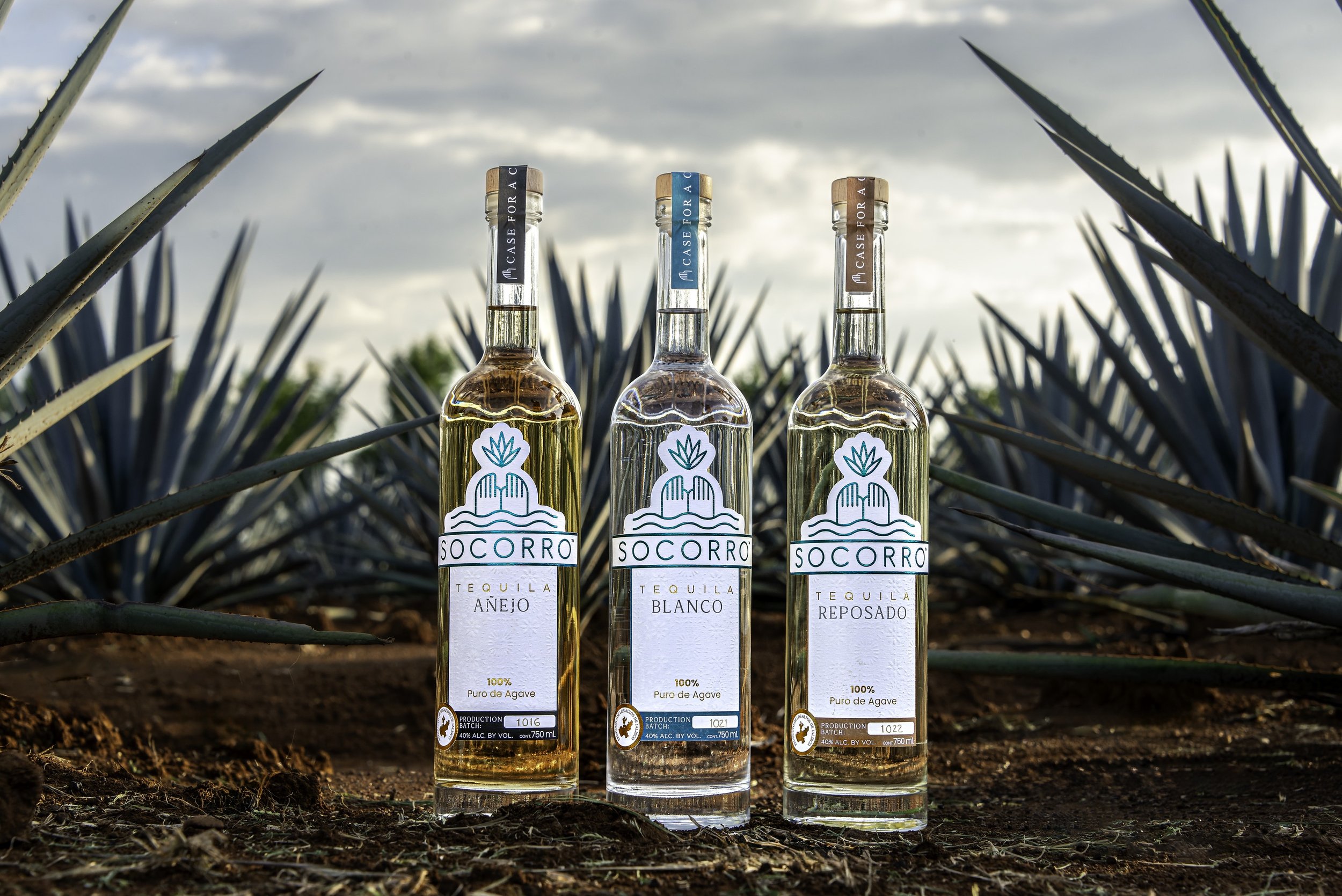 Mixology Experience: Springtime in Jalisco