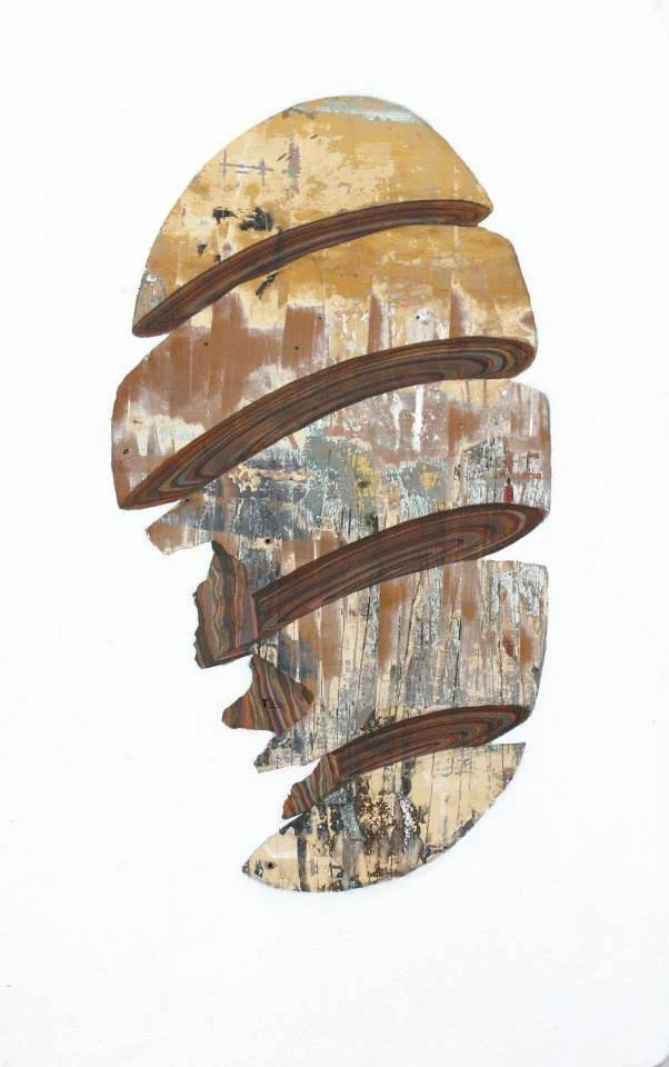 SEGMENTED Collaboration with Joseph Phillips and Shea Little (SODALITAS) 24" x 48" Mixed Media 2007 