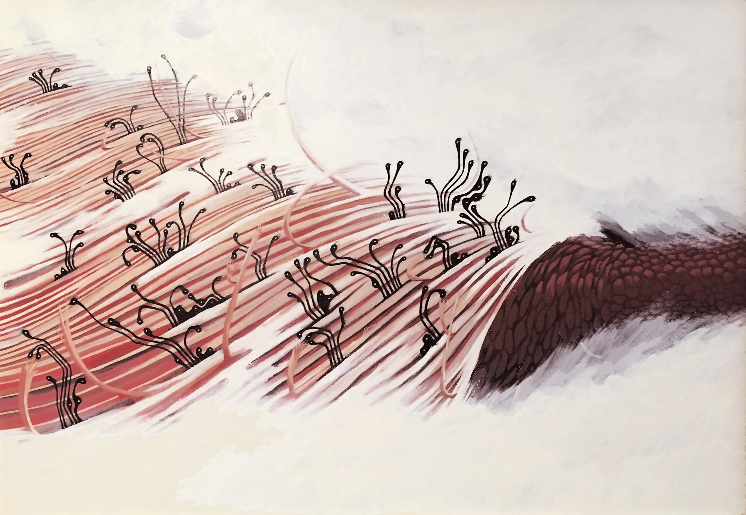 TWISTED NIPPLE Collaboration with Shea Little
25.5 x 36 2017