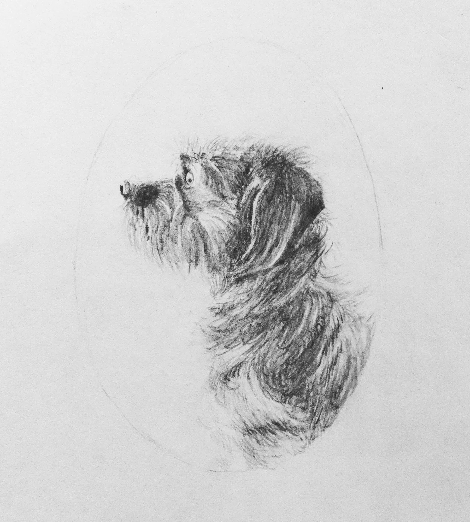 'Lupe' 2" x 3" Pencil