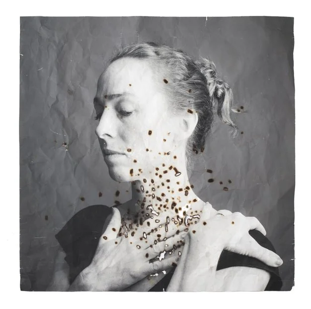 BURNT Collaboration with Rino Pizzi for Transfiguation Project 36" 36" 2014