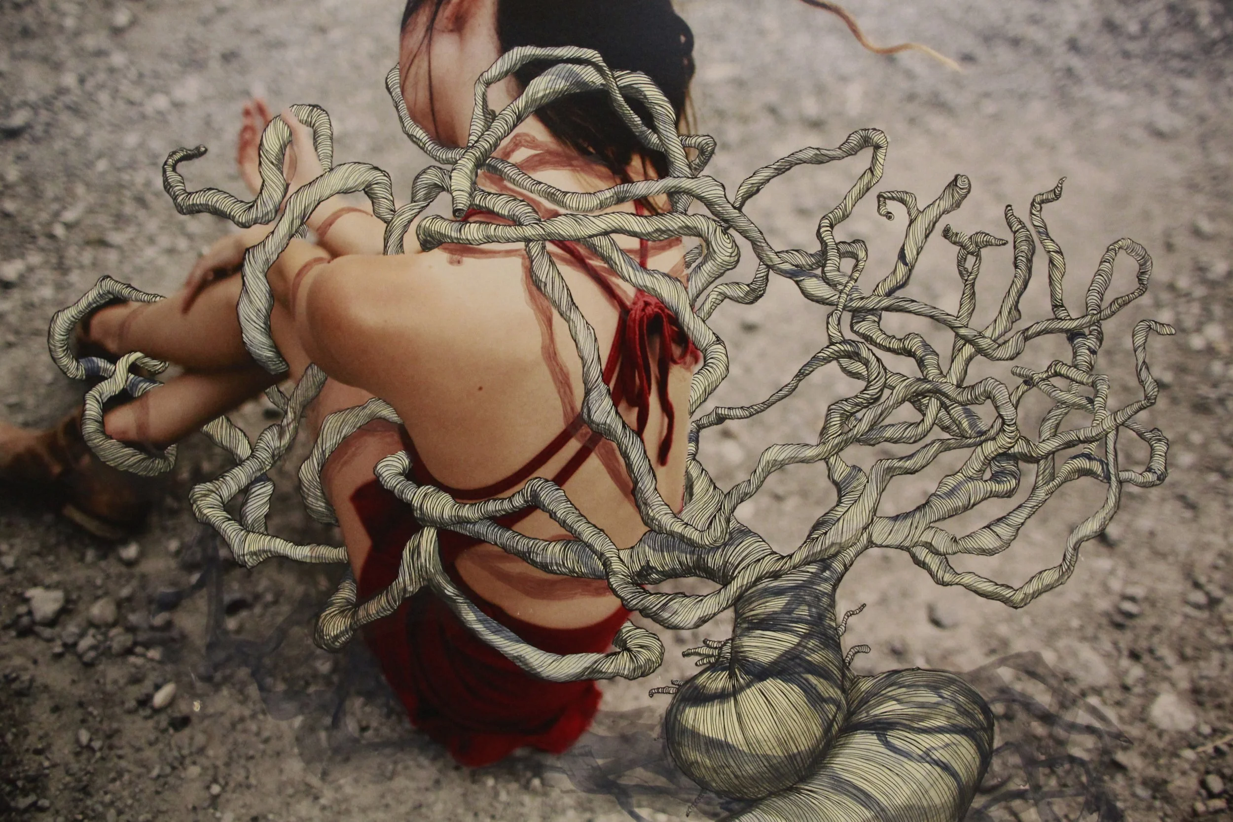 VEGA
Collaboration with Julie Swec
17" x 24" 2017