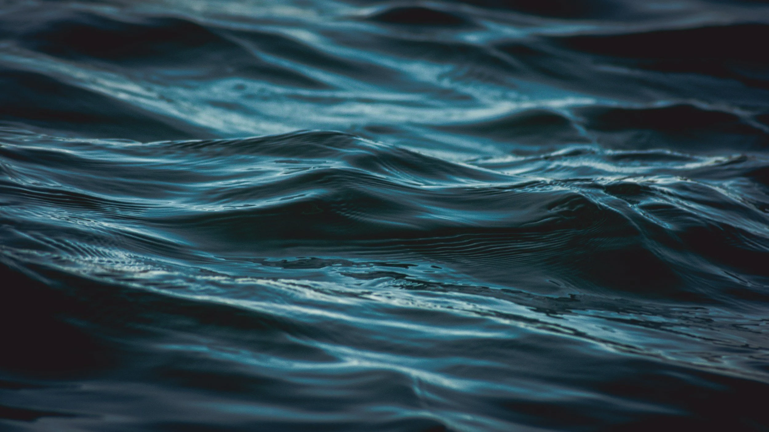unsplash-image-4ibyBpL6bBA.jpg
