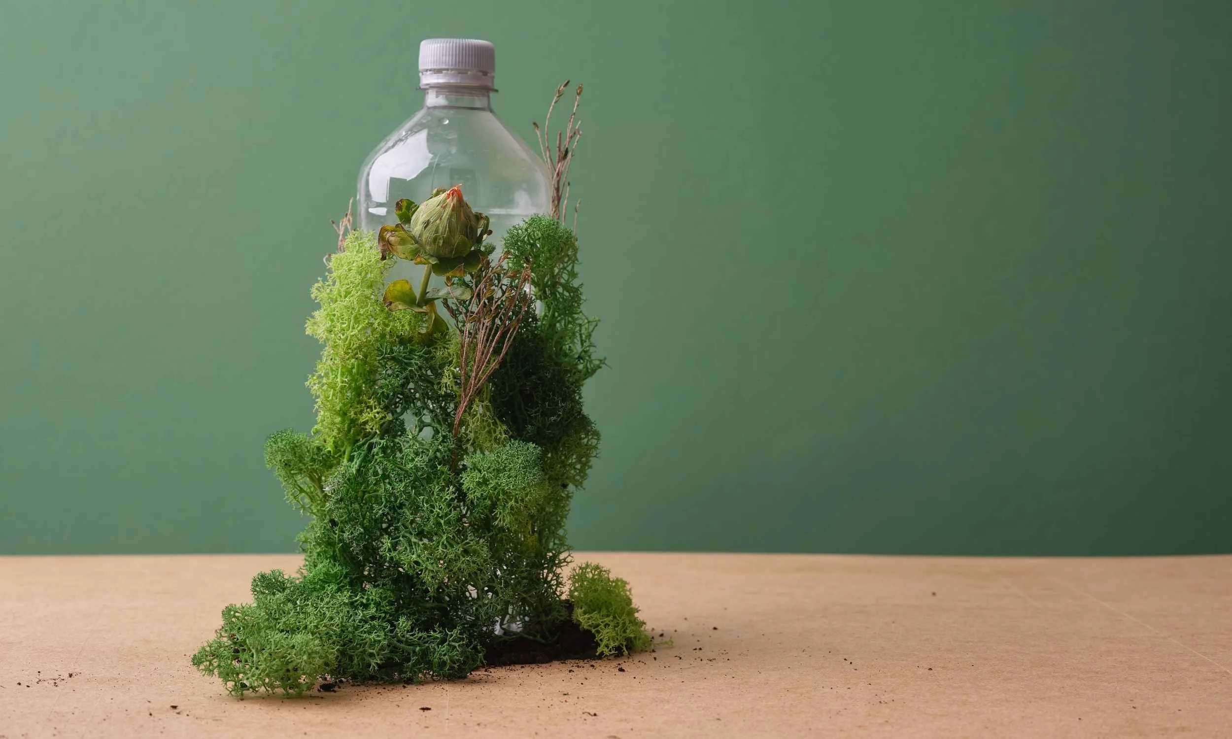 What Is a Sustainable Marketing Agency? A Guide for Leaders