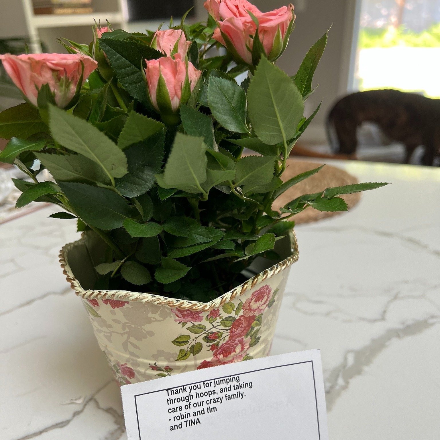 You know you've hit the client jackpot when they send flowers (vs. the other way around) &ndash; not only to thank me, but also to brighten my day because they remembered that I had a colonoscopy the next morning. 😂