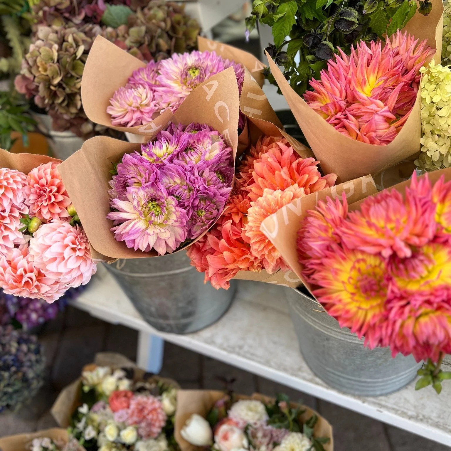 Some Marin Country Mart flowers (dahlias, my favorite) to brighten today's showers.