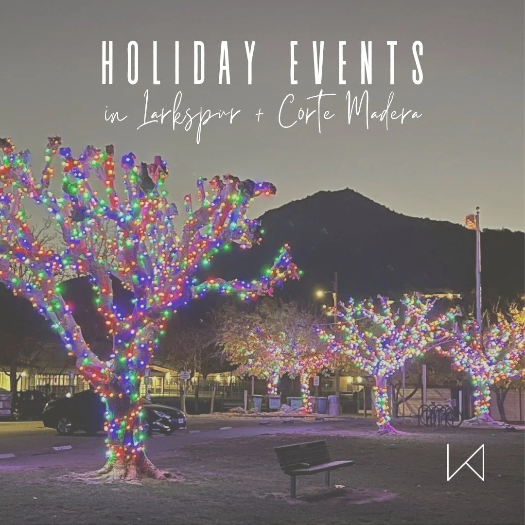 From festive holiday lights to photos with Santa and dreidel contests, here are a few fun ways to enjoy the holidays in Larkspur + Corte Madera:

🎄 Piper Park in Larkspur: See their 22 festively-lit trees any evening through Jan 11th. On Friday, Dec