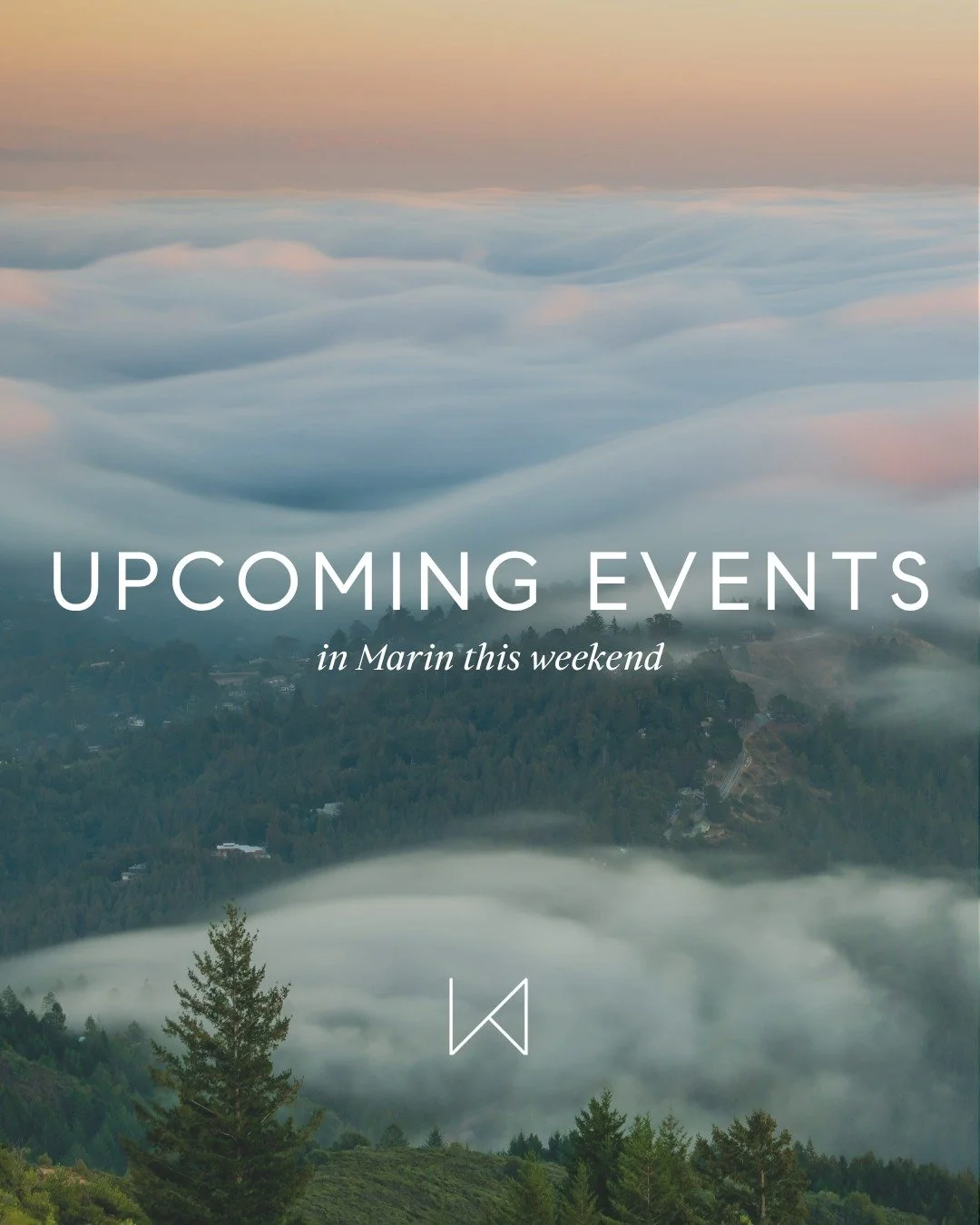 Looking for something to do this weekend that's out of the ordinary? Check out these fun events going on in Marin this Saturday and Sunday:

🎸 David Nelson Band @ Sweetwater: Sat, March 28 @ 8pm (doors open @ 7pm). Deadheads, rejoice. From the 'almo