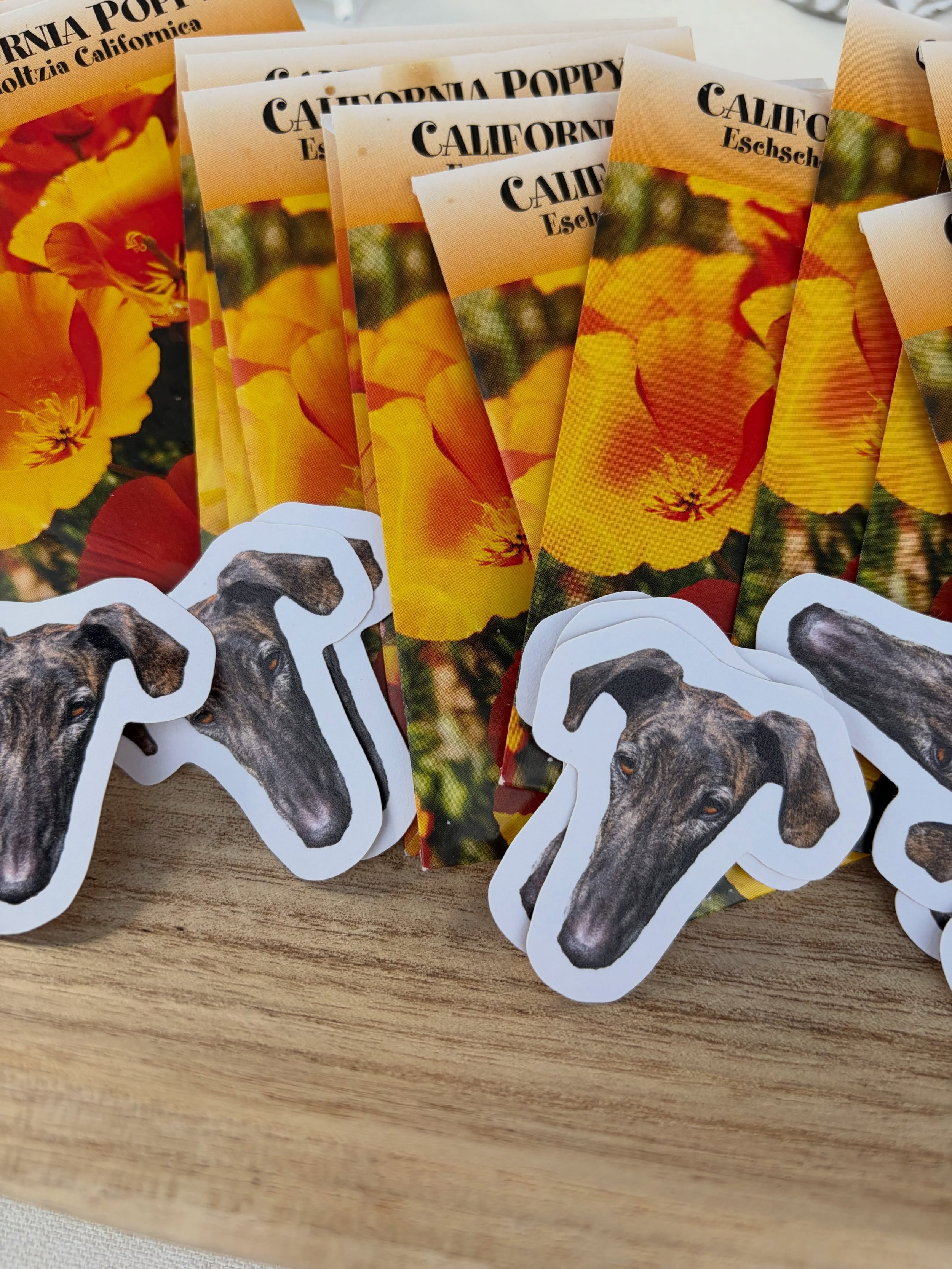 Where&rsquo;s Waldo, Nacho edition. 

Where&rsquo;s his long snoot sticker going to show up next? DM me if you see one in the wild!
