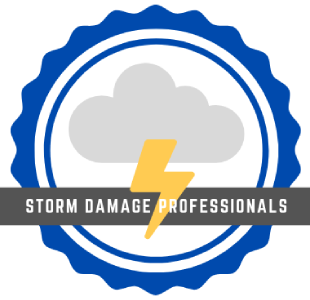 badge 2