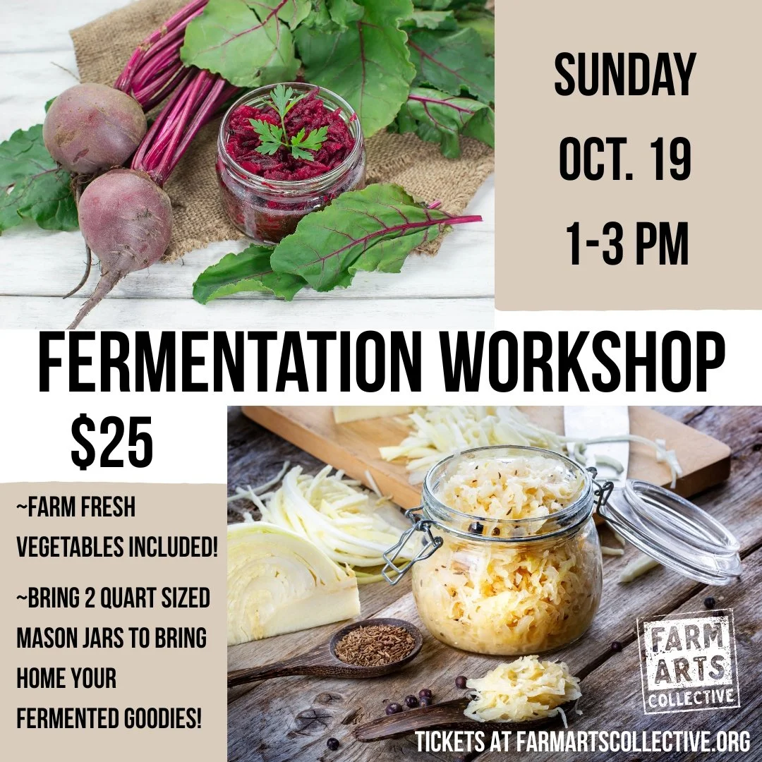 Fermentation Workshop