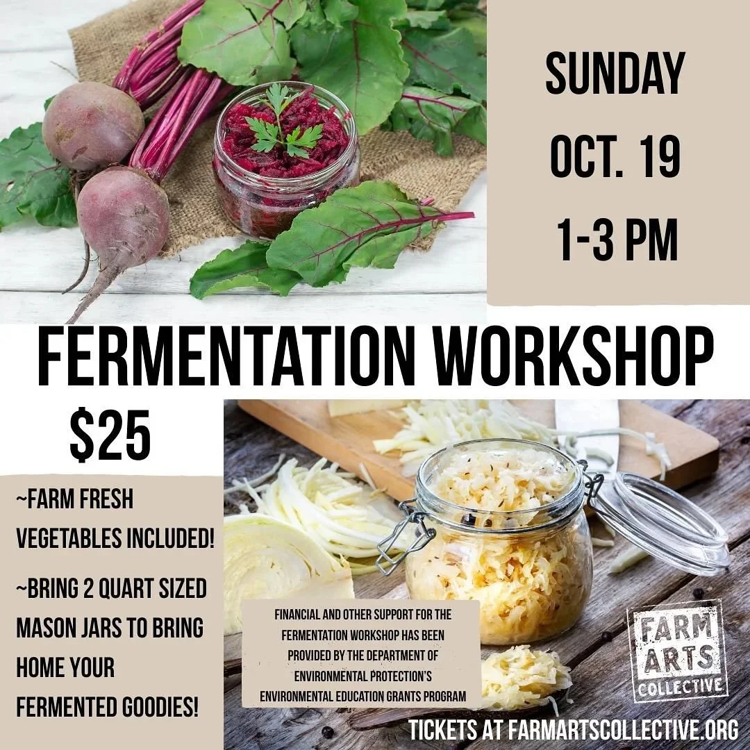 Next workshop is fermentation. Bring some small neck mason jars. We provide the organic veg and supplies.
