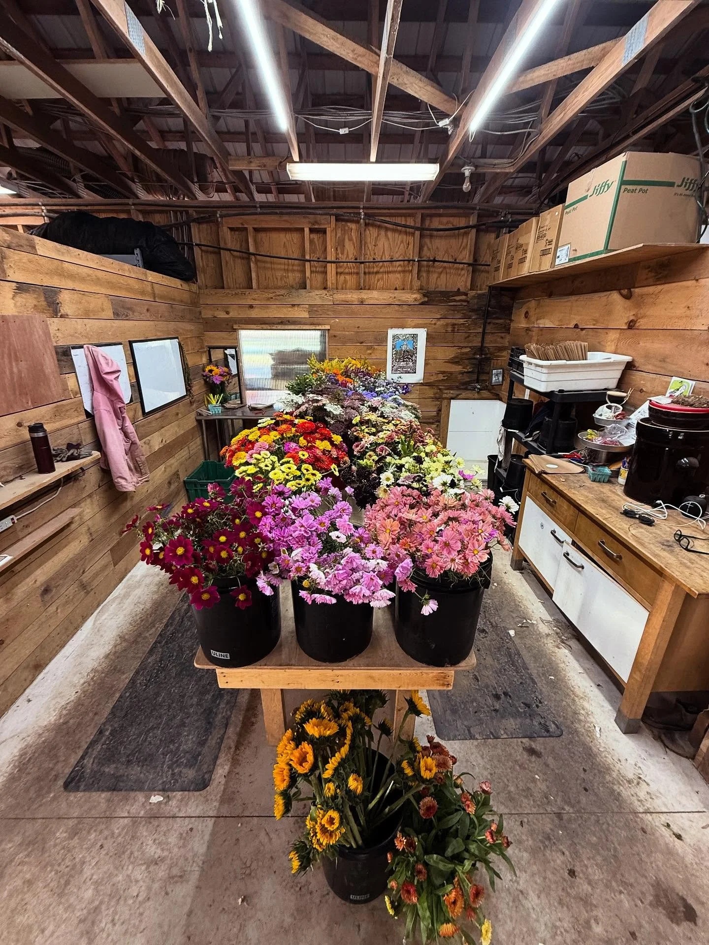 💐The flower studio @willowwisporganicfarm is ready for perFARMers Tannis &amp; Jess to create bouquets for this weekends farmers&rsquo; markets!