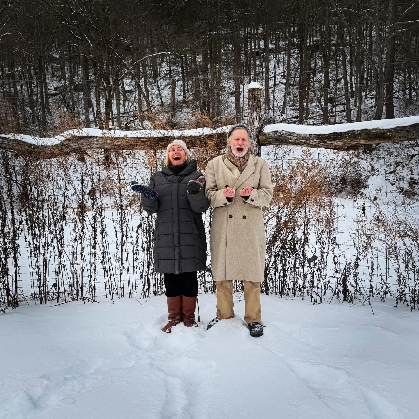 And so it begins&hellip;
Dream on the Farm 7
Coming this July