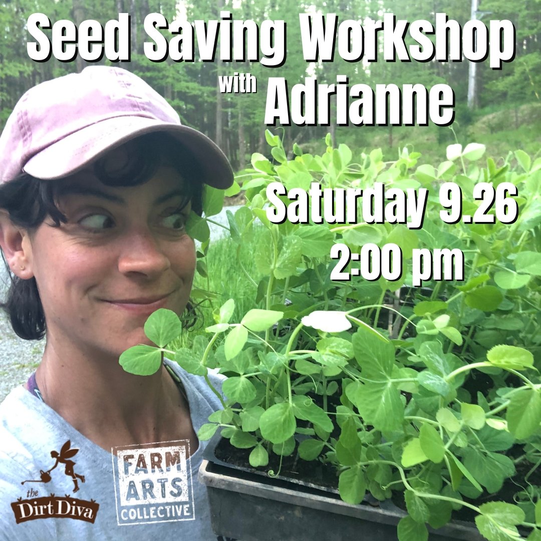 Seed Saving Workshop