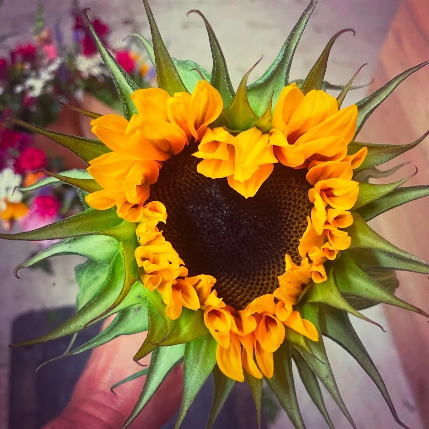 ❤️ Happy Valentine&rsquo;s Day ❤️