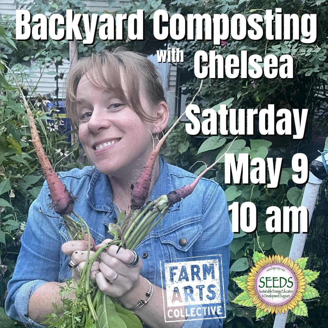 Backyard Composting with Chelsea