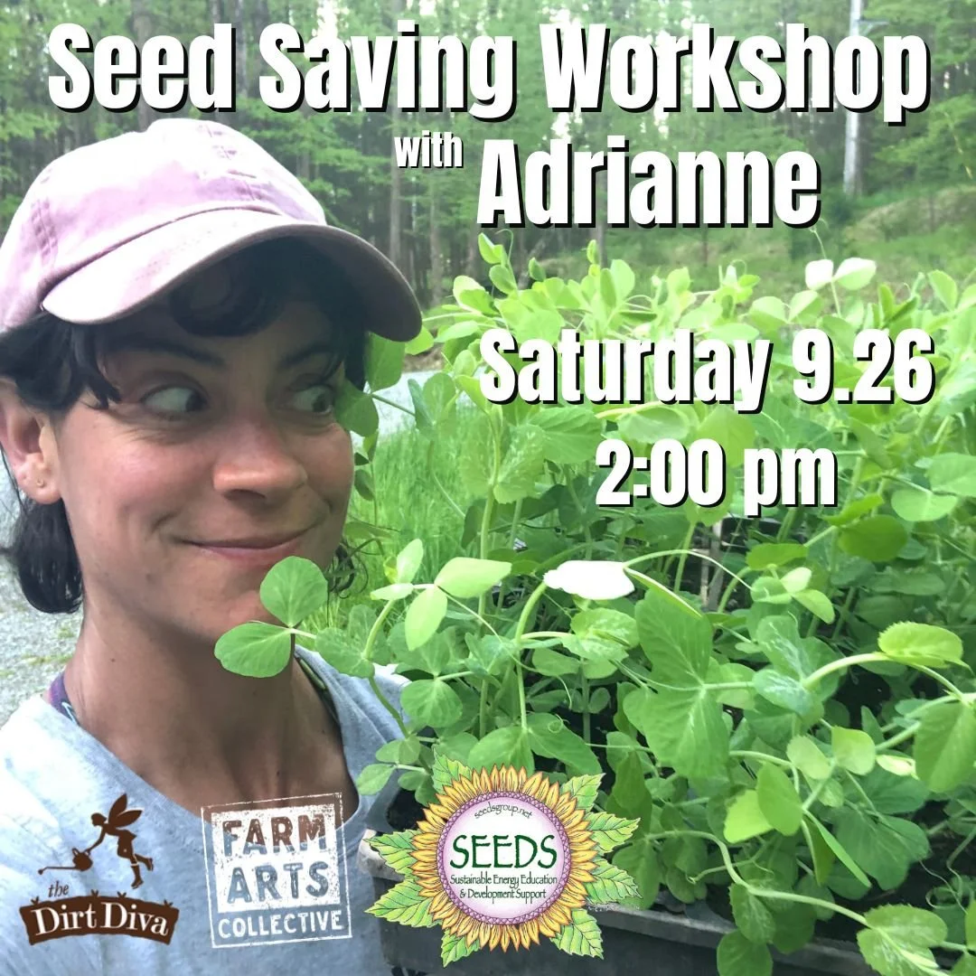 Seed Saving Workshop