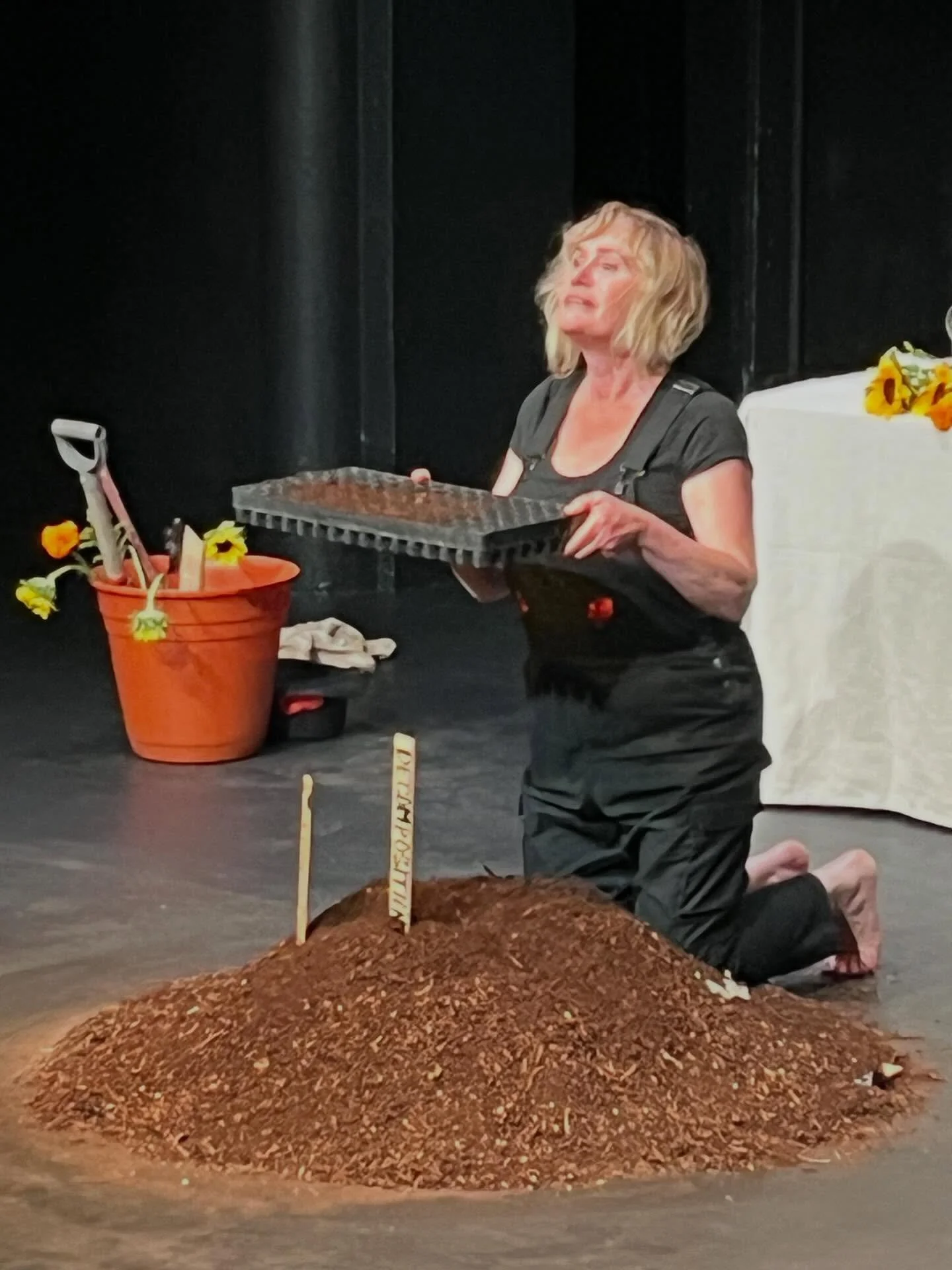 Wowsers-- doing Decompositions in my home town after a very long absence is actually really nerve racking!!!! 😬😍 sooooo excited too!!!