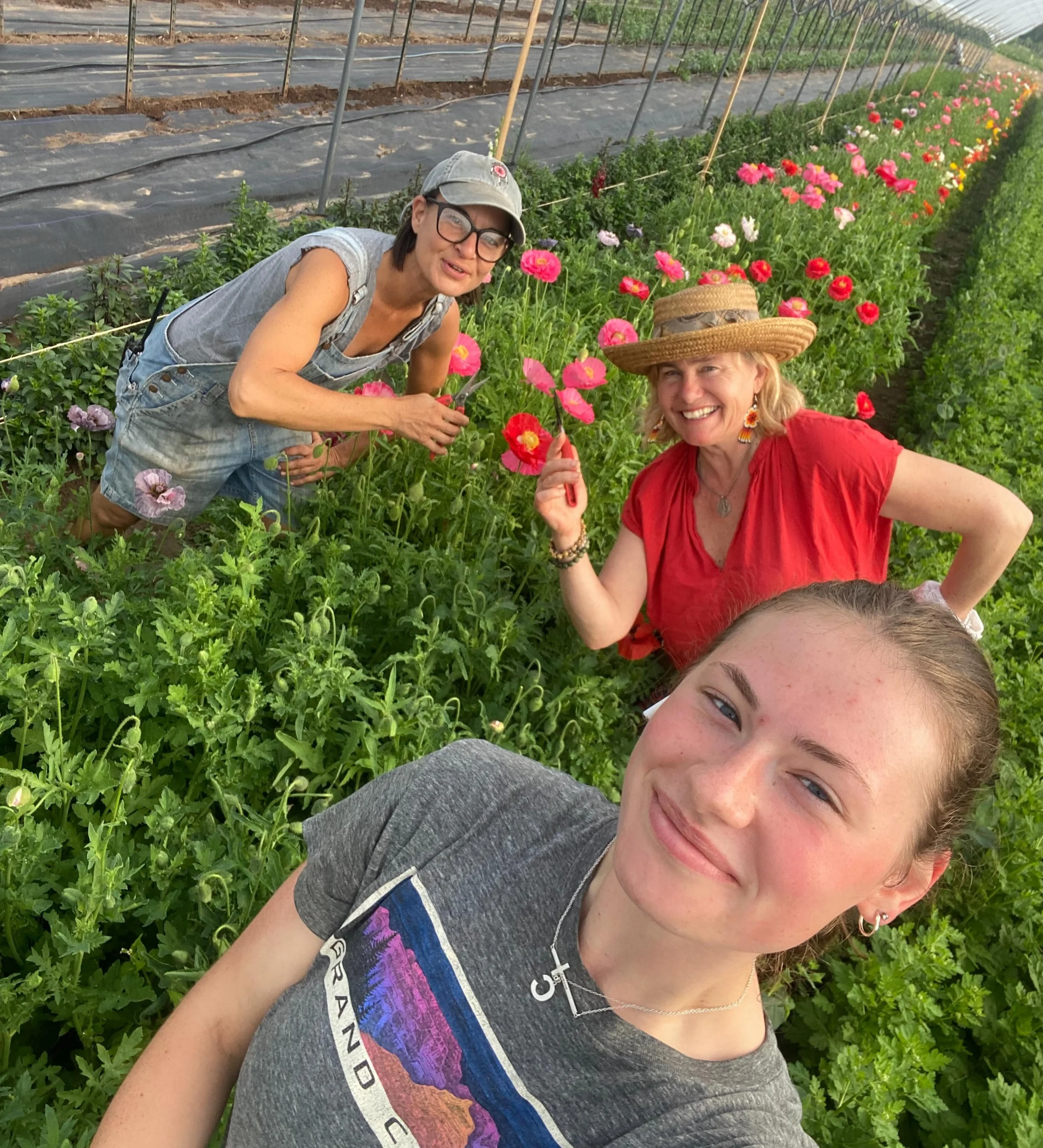 🌸Flower Power🌸 @willowwisporganicfarm