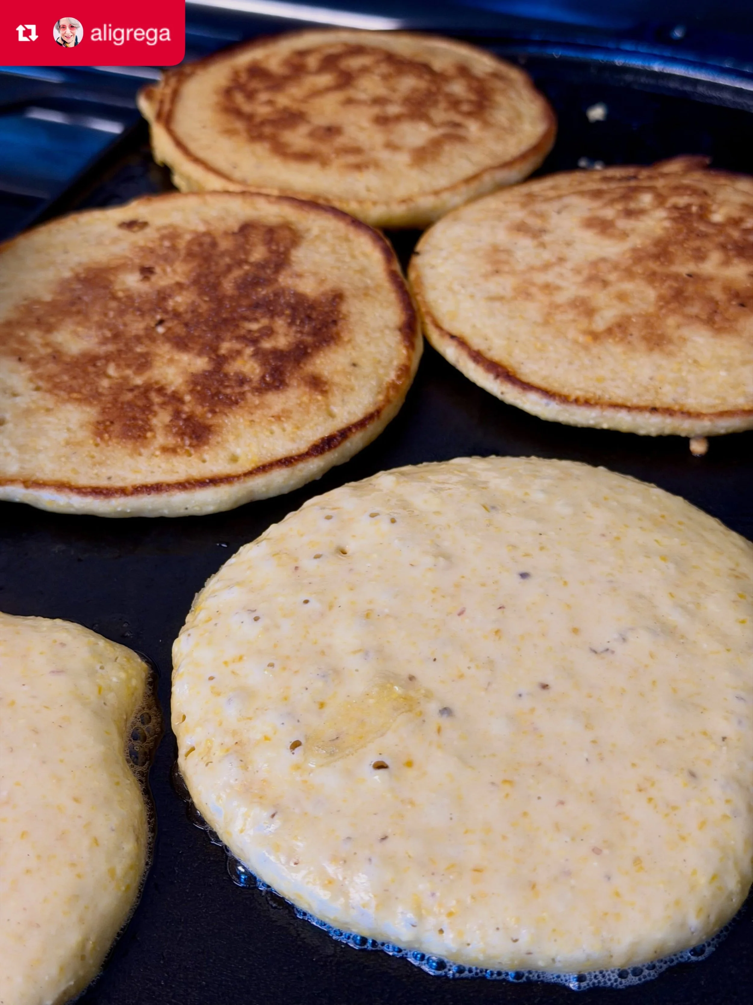 🥳We are thrilled to have our friend @aligrega back to dazzle us in &amp; out of the kitchen. She will be cooking for us all during Dream on the Farm🥞Don&rsquo;t miss out! 

Repost from @aligrega
&bull;
Cooking up some practice &ldquo;Johnny cakes&r