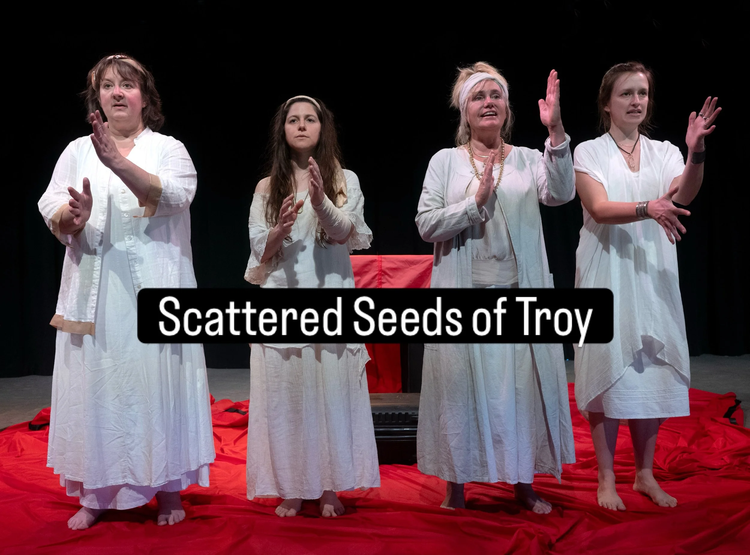 Rehearsals continue for a new play we are devising. Scattered Seeds of Troy is an eco-feminist performance inspired by the ancient play The Trojan Women by Euripides. We are looking forward to sharing our work in progress in November at the farm. 
Wi