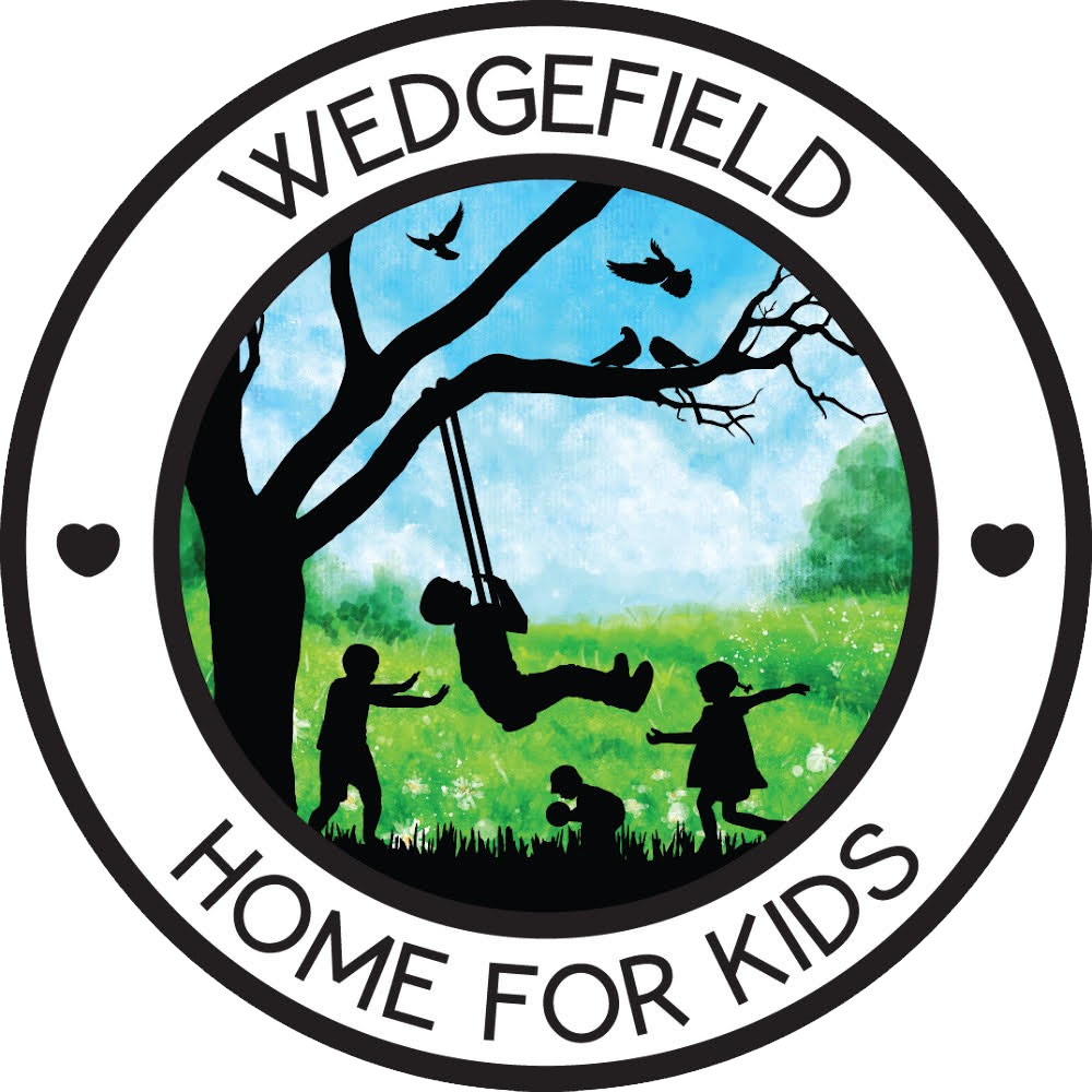 Children playing on a swing hanging from a tree, with other kids playing on the grass and birds perched on the branches, in a park with a bright blue sky. Text reads "Wedgefield Home for Kids".