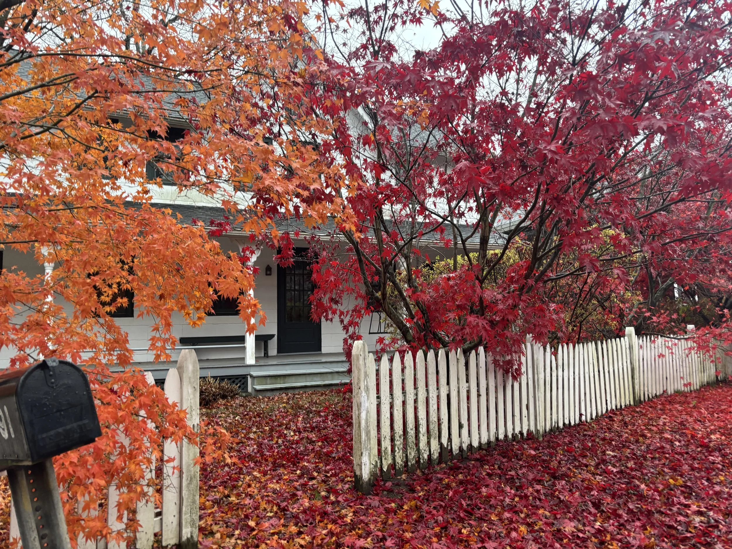 Staff Wellness Retreat