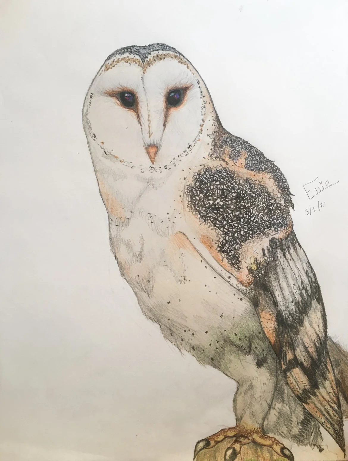 Art student: Ellie Wall, age 15