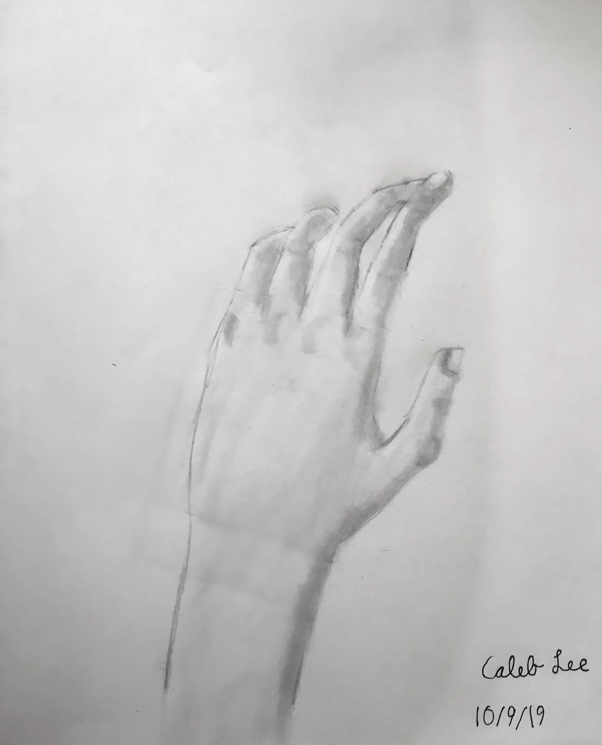 Art student: Caleb Lee, age 9