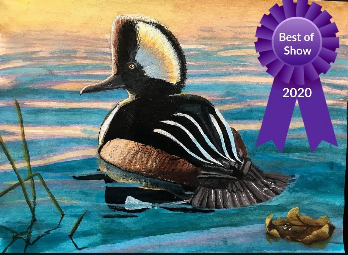 Art student: Joshua Lee, age 12. Youngest contestant to win Best of Show in Federal Junior Duck Stamp Contest history.