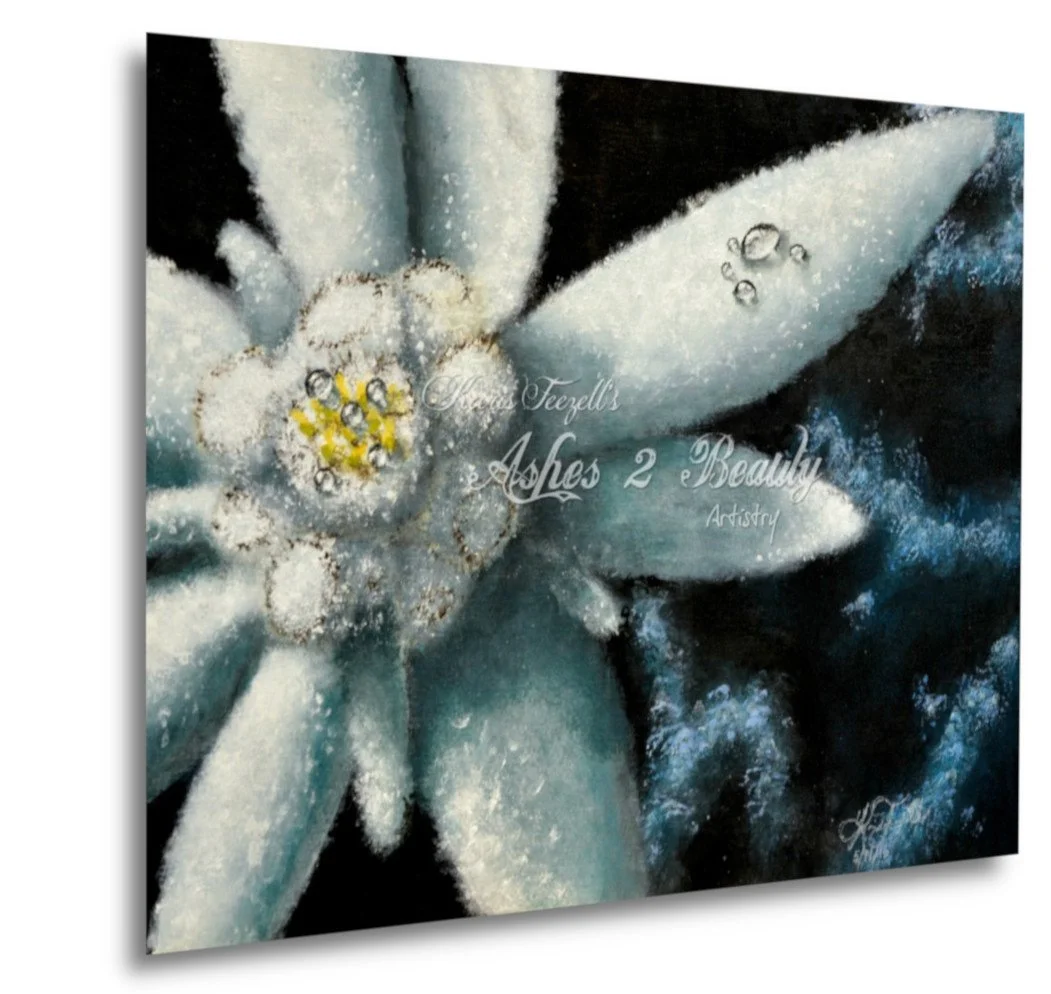 canvaspp 16x20 edelweiss.jpg