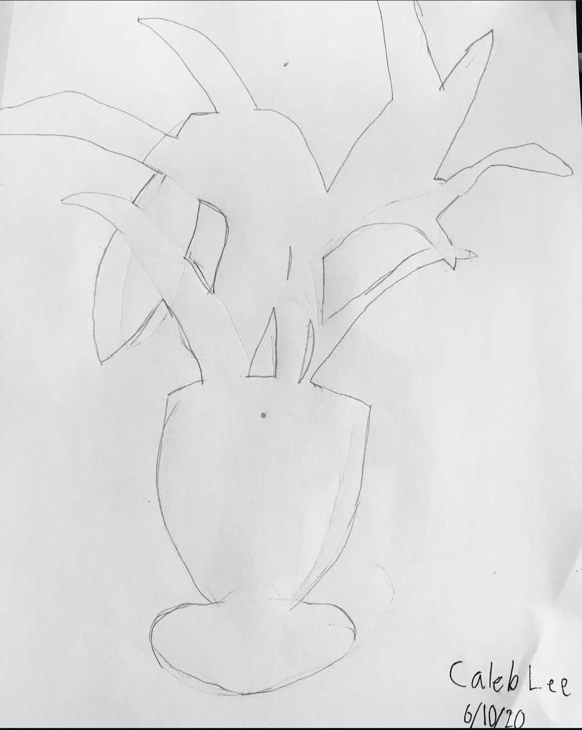 Art student: Caleb Lee, age 10