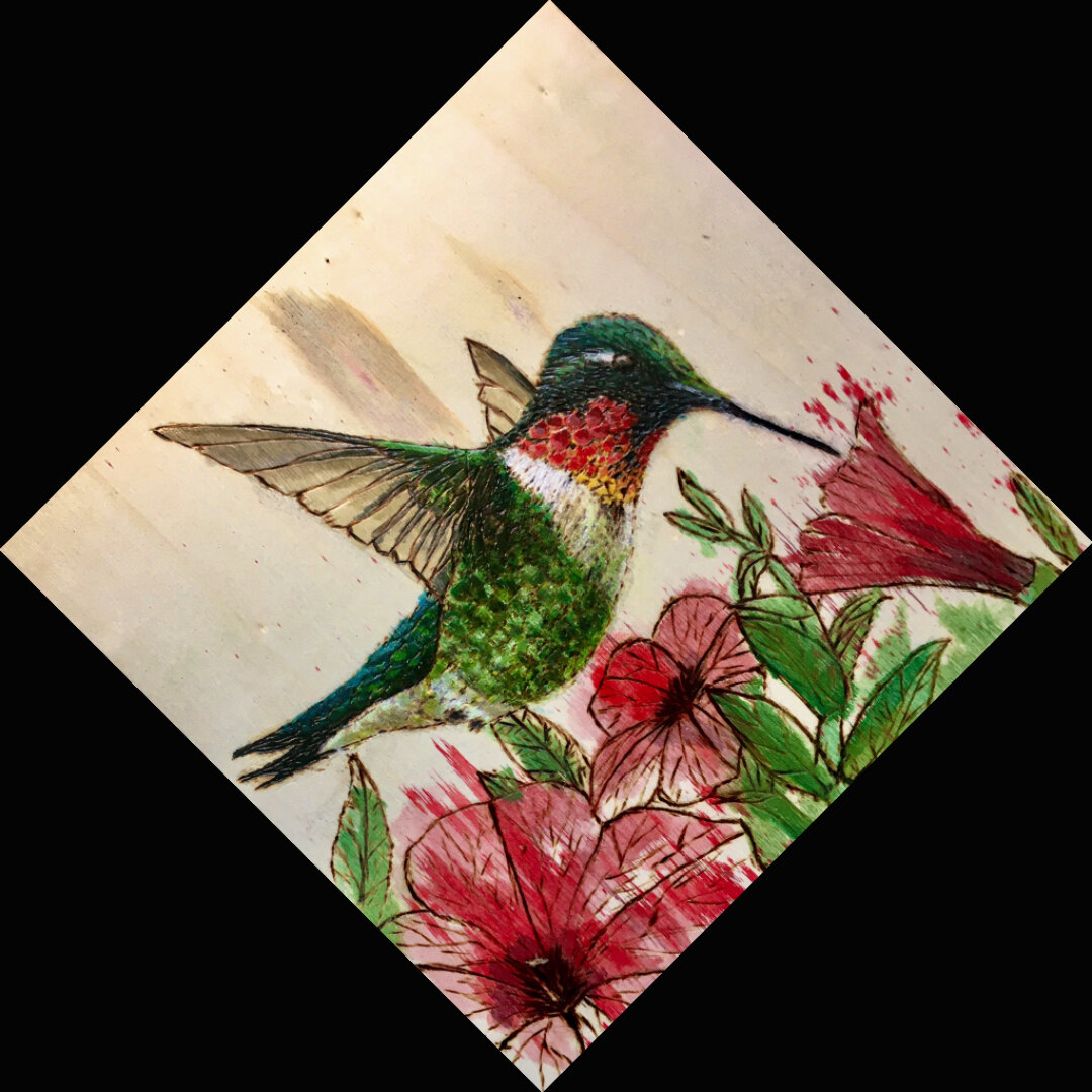  
  Hummingbird  
  8x8" wood burning and staining with fluid acrylics. 
 
 
 August 21, 2020 
 